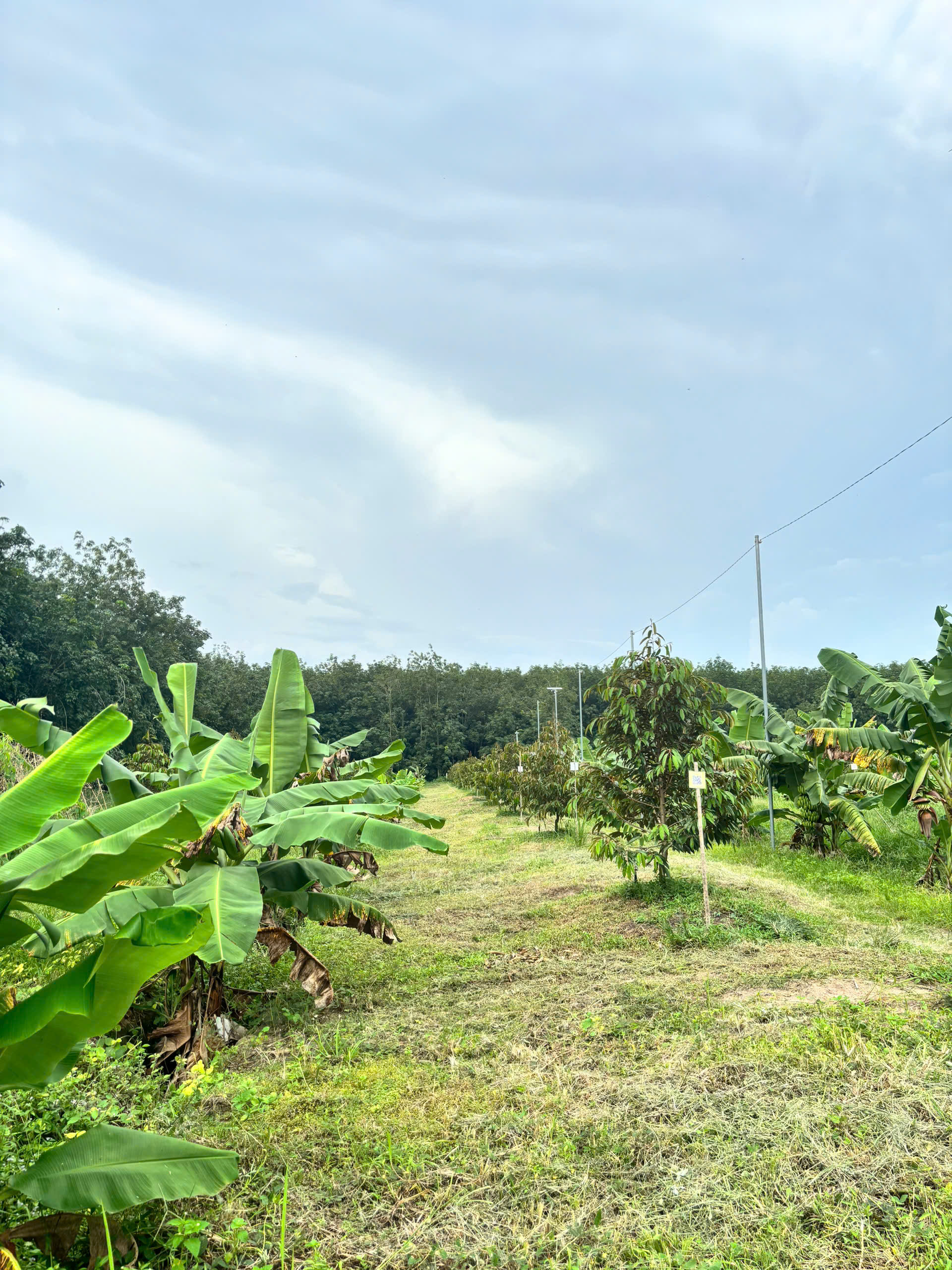 Z7010071951928 06c4c03f492077108374ef65083f5011