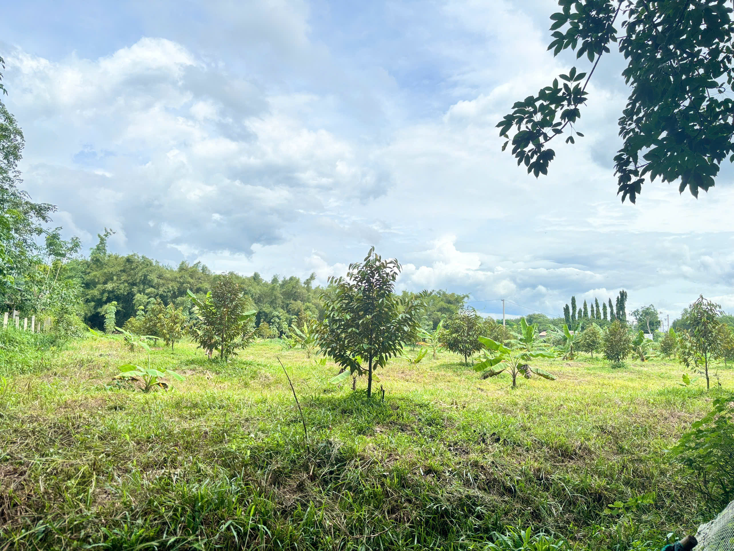 Z7010071955710 B2f2f7a4f64da0e77d6af2d32d9da507