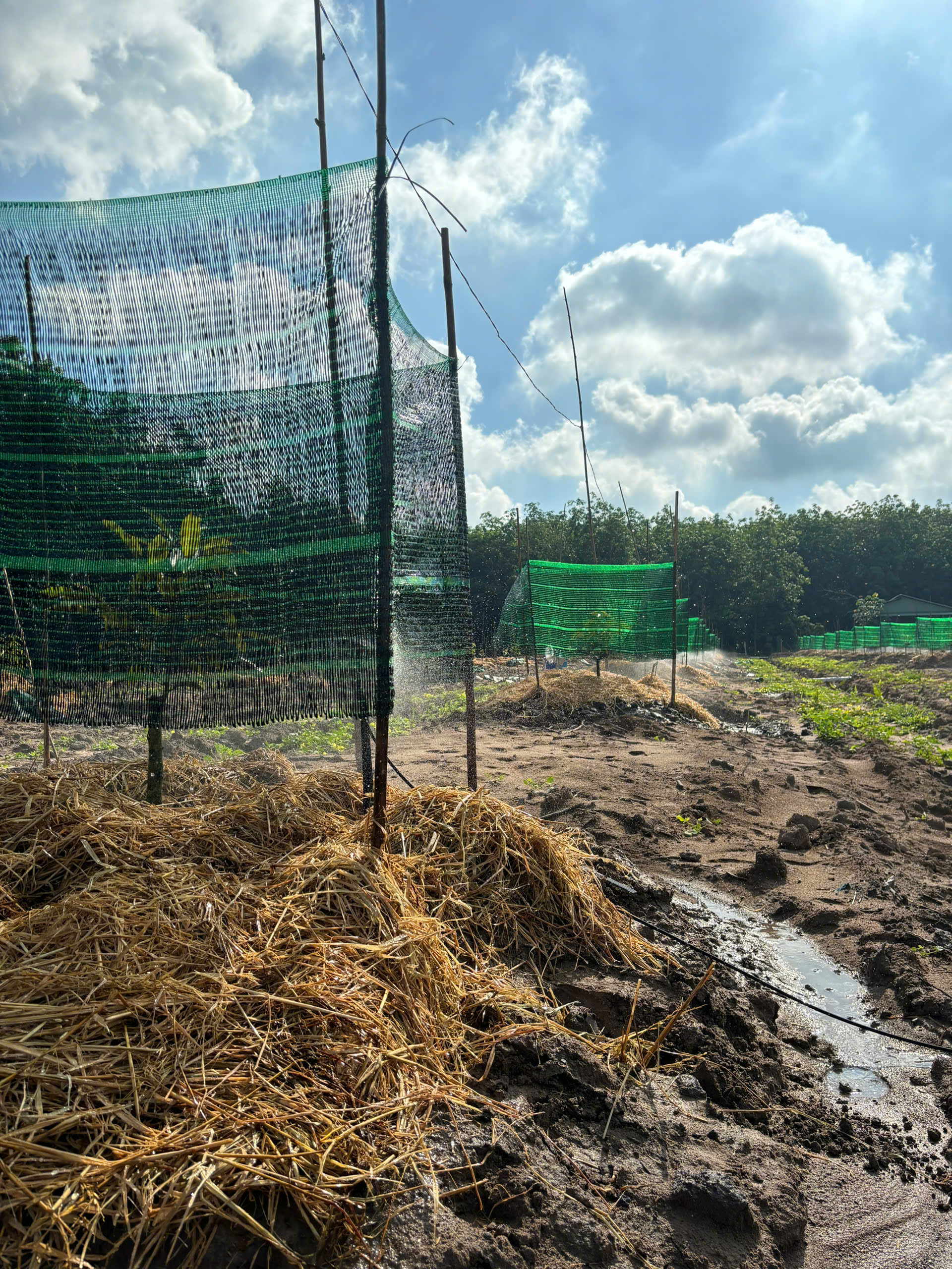 Z7010182618892 6879e354ad3981169cac6aeb690866d9