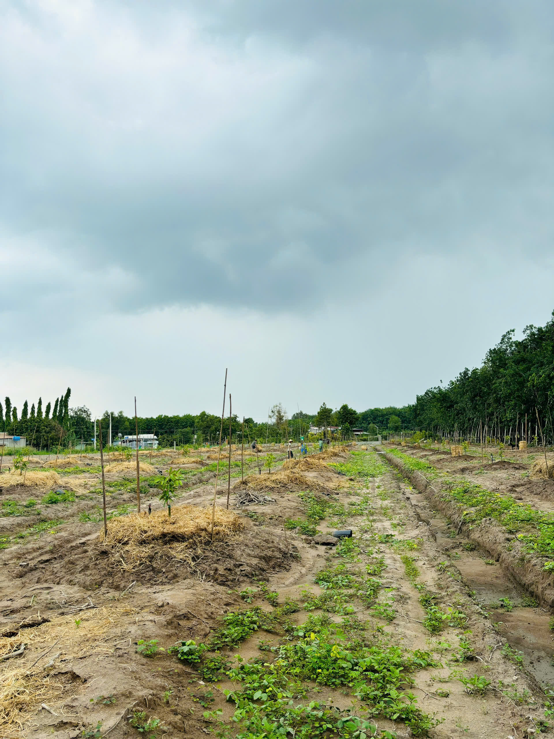 Z7010161863747 186962d20deecdb6adb0216f2a9e9560