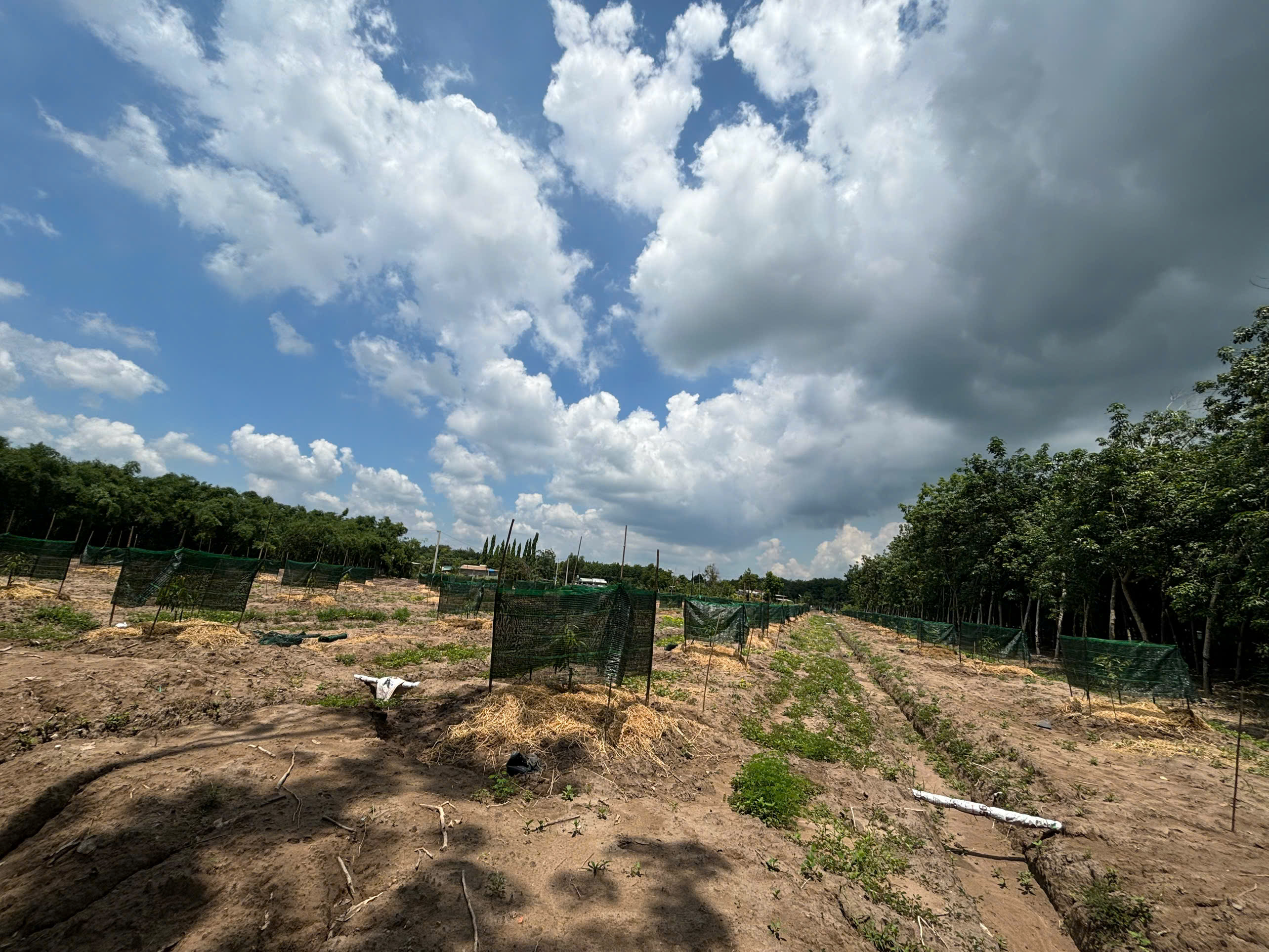 Z7010161873027 00912d992dbb0c19d055b7a7a4eca5d2